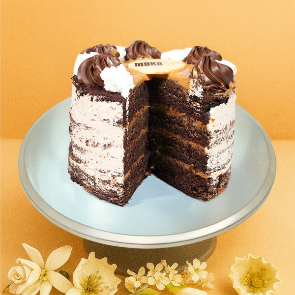 Classic Vanilla Chocolate Cake 🍦