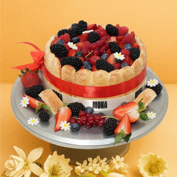 Chocolate Berry Fantasy Cake 🍓