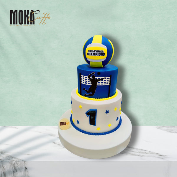 Volleyball Cake